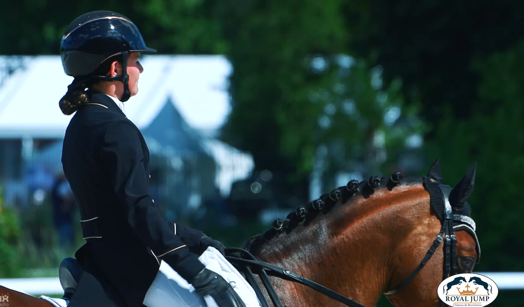 Capture d'écran 2026-01-17 154122